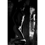 mn-photo6.jpg
Poet zobrazen: 1587 (6455.6396 dn) pr.=0.2458
Rozmr: 400 x 600 pixel
Velikost: 30.819 kB