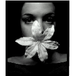 blossom01.jpg
Poet zobrazen: 2384 (6524.2216 dn) pr.=0.3654
Rozmr: 343 x 402 pixel
Velikost: 38.21 kB