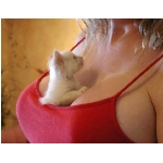 prsa.jpg
Poet zobrazen: 3950 (6540.4172 dn) pr.=0.6039
Rozmr: 571 x 444 pixel
Velikost: 114.772 kB