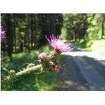 m144_4466.jpg
Poet zobrazen: 3389 (6537.5469 dn) pr.=0.5184
Rozmr: 1600 x 1200 pixel
Velikost: 414.456 kB