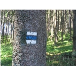 m145_4512.jpg
Poet zobrazen: 3730 (6537.5469 dn) pr.=0.5706
Rozmr: 1600 x 1200 pixel
Velikost: 679.248 kB