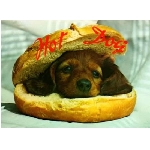 hotdog.jpg
Poet zobrazen: 3684 (6536.0374 dn) pr.=0.5636
Rozmr: 550 x 403 pixel
Velikost: 24.509 kB