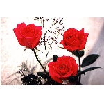 jf-02869.jpg
Poet zobrazen: 3767 (6541.3823 dn) pr.=0.5759
Rozmr: 350 x 233 pixel
Velikost: 28.413 kB